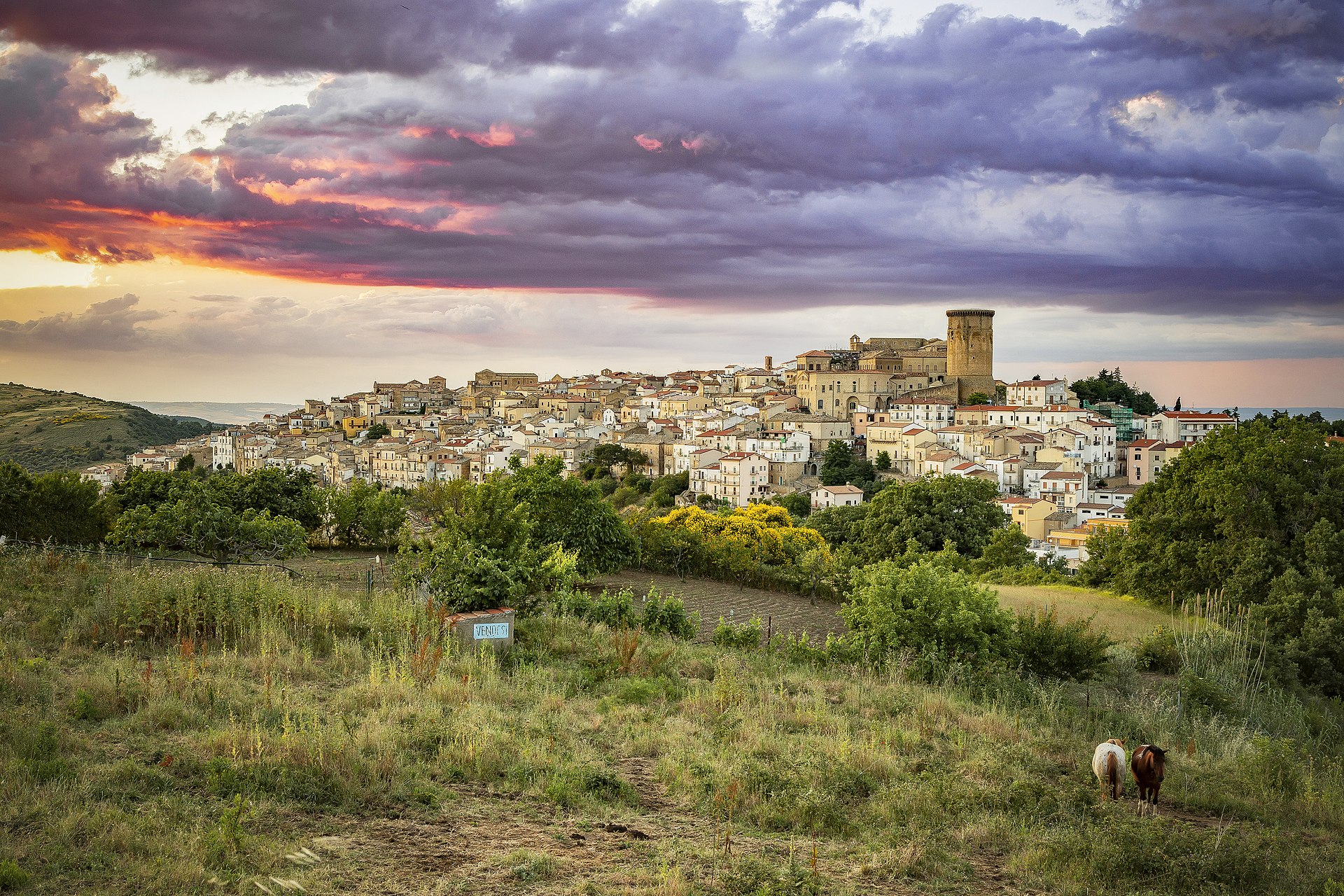 Tricarico